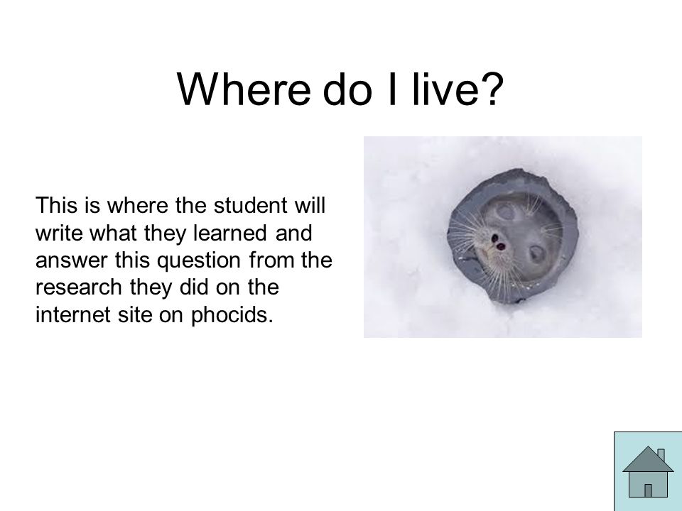 This is where the student will write what they learned and answer this question from the research they did on the internet site on phocids.