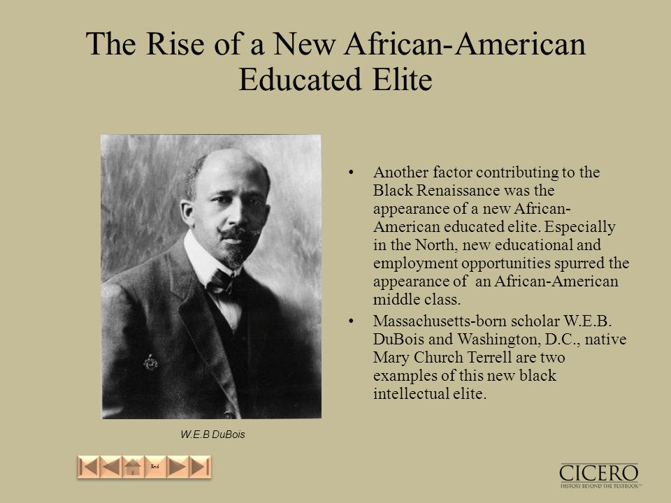 The Rise of a New African-American Educated Elite Another factor contributing to the Black Renaissance was the appearance of a new African- American educated elite.