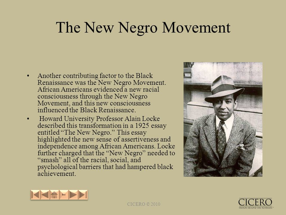 The New Negro Movement Another contributing factor to the Black Renaissance was the New Negro Movement.