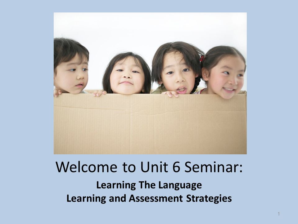 Welcome to Unit 6 Seminar: Learning The Language Learning and Assessment Strategies 1