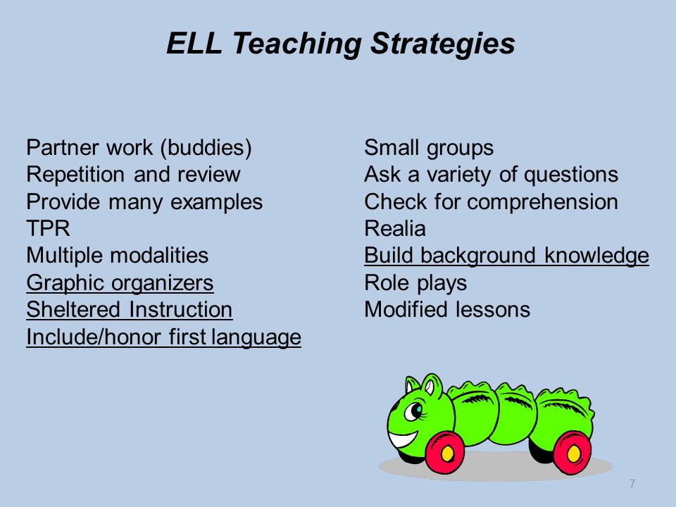 ELL Teaching Strategies Partner work (buddies)Small groups Repetition and reviewAsk a variety of questions Provide many examplesCheck for comprehension TPRRealia Multiple modalitiesBuild background knowledge Graphic organizersRole plays Sheltered InstructionModified lessons Include/honor first language 7