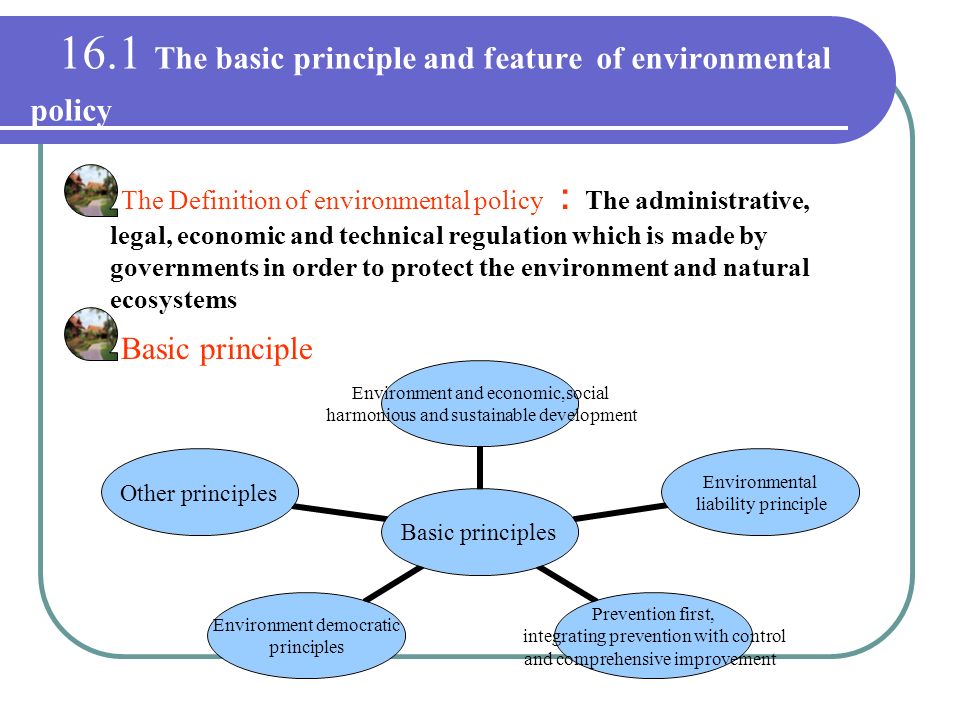 environmental policy sustainability and government regulations The impact of environmental and government regulations made united parcel service (ups) an innovative company that developed a strategic environmental management system that adheres to the principles of iso 14001 standard (ups 2010 sustainability. environmental policy sustainability and government regulations The impact of environmental and government regulations made united parcel service (ups) an innovative company that developed a strategic environmental management system that adheres to the principles of iso 14001 standard (ups 2010 sustainability.