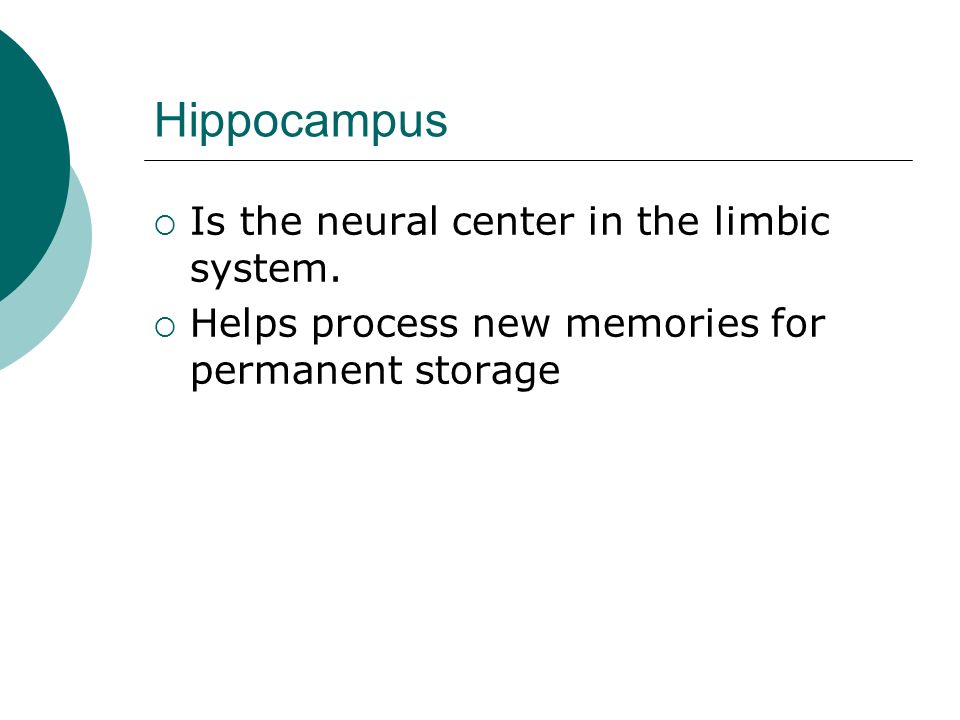 Hippocampus  Is the neural center in the limbic system.