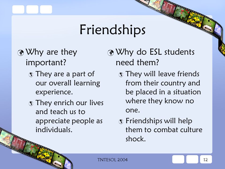TNTESOL Friendships Why are they important.