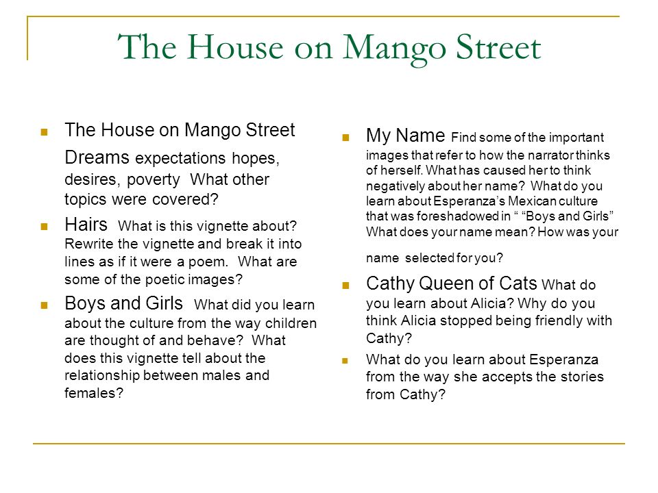 Thesis statement for house on mango street