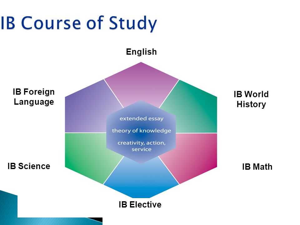 IB Course of Study English IB World History IB Math IB Elective IB Foreign Language IB Science