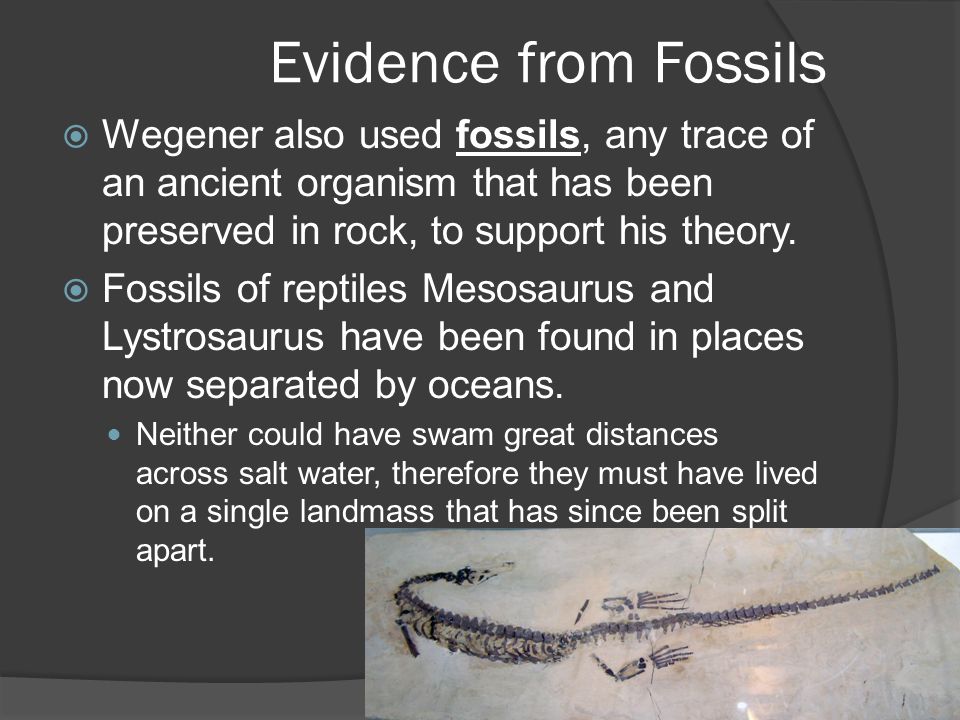 wegeners rock essay Wegeners theory of plate tectonics evidence for plate 5the match-up of distinctive rock assemblages that are now on opposite sides of “essay in geopoetry. wegeners rock essay Wegeners theory of plate tectonics evidence for plate 5the match-up of distinctive rock assemblages that are now on opposite sides of “essay in geopoetry.