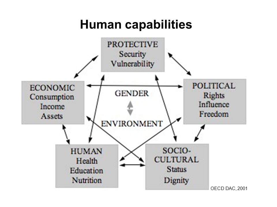Human capabilities OECD DAC, 2001