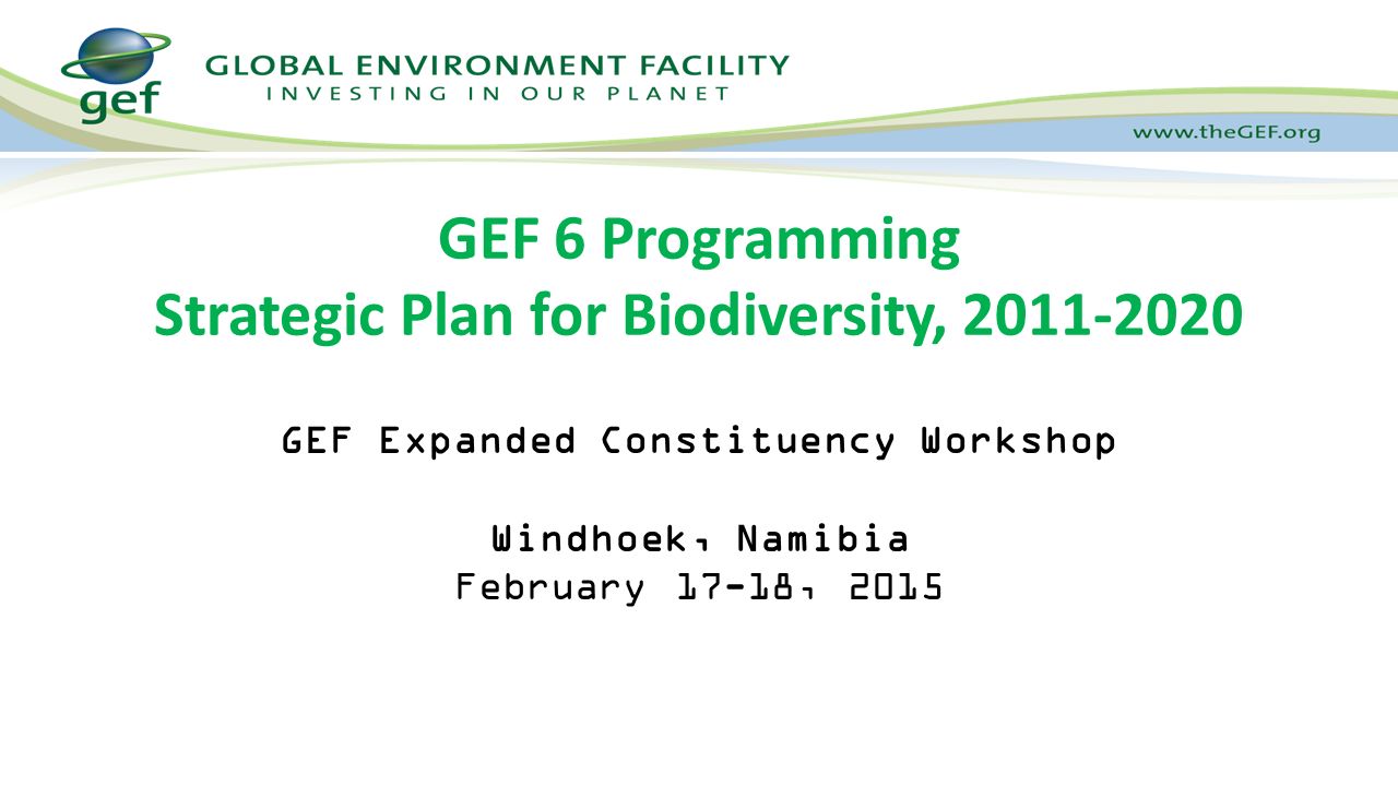 GEF Expanded Constituency Workshop Windhoek, Namibia February 17-18, 2015 GEF 6 Programming Strategic Plan for Biodiversity,