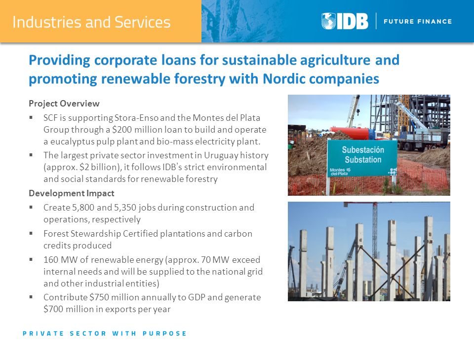 Providing corporate loans for sustainable agriculture and promoting renewable forestry with Nordic companies Project Overview  SCF is supporting Stora-Enso and the Montes del Plata Group through a $200 million loan to build and operate a eucalyptus pulp plant and bio-mass electricity plant.