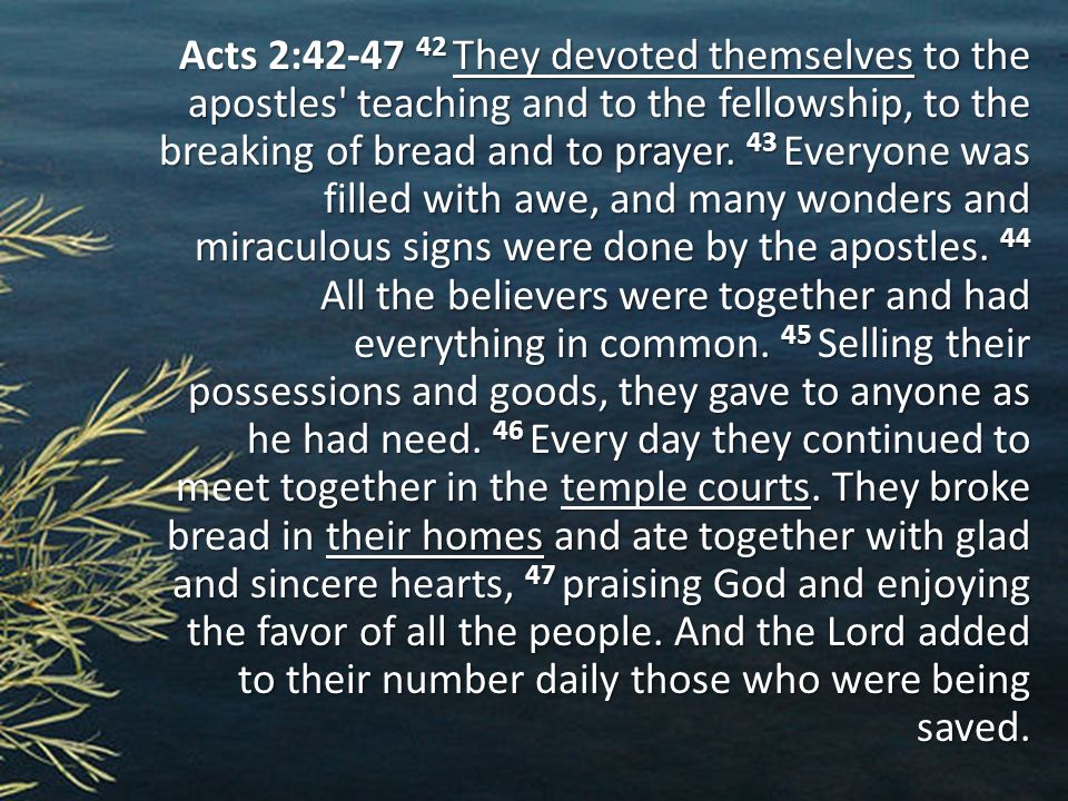 Acts 2: They devoted themselves to the apostles teaching and to the fellowship, to the breaking of bread and to prayer.