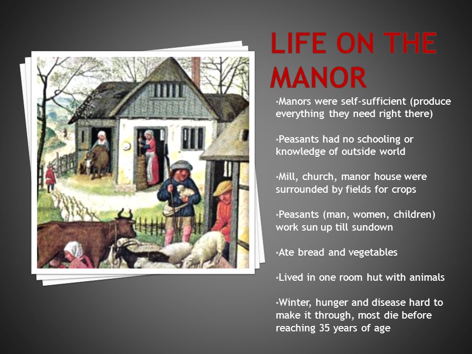 Manors were self-sufficient (produce everything they need right there) Peasants had no schooling or knowledge of outside world Mill, church, manor house were surrounded by fields for crops Peasants (man, women, children) work sun up till sundown Ate bread and vegetables Lived in one room hut with animals Winter, hunger and disease hard to make it through, most die before reaching 35 years of age