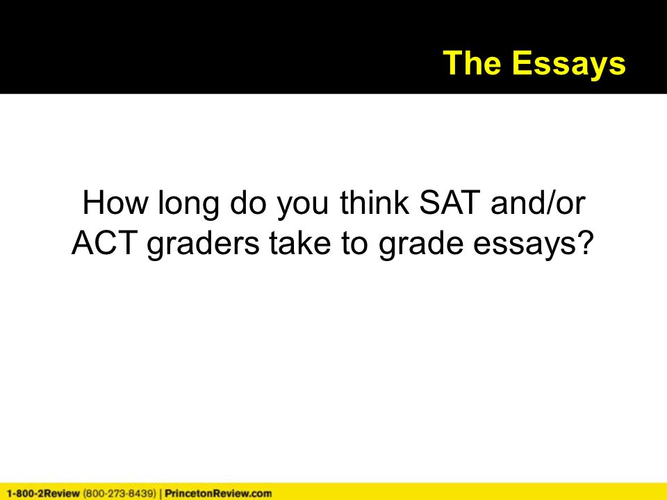 Online Essay Grader