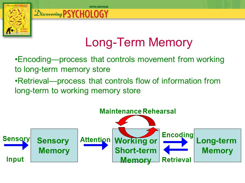 Long term memory and critical thinking skills