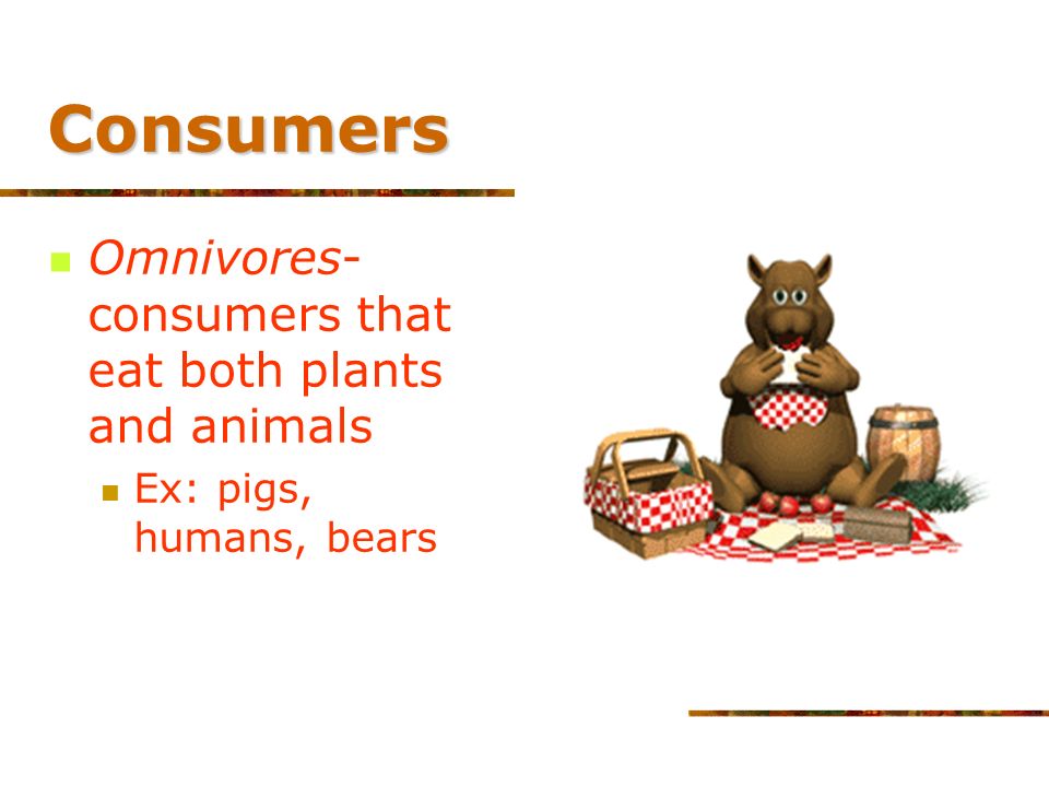 Consumers Tertiary (higher- level) consumer Feed only on other carnivores Wolf