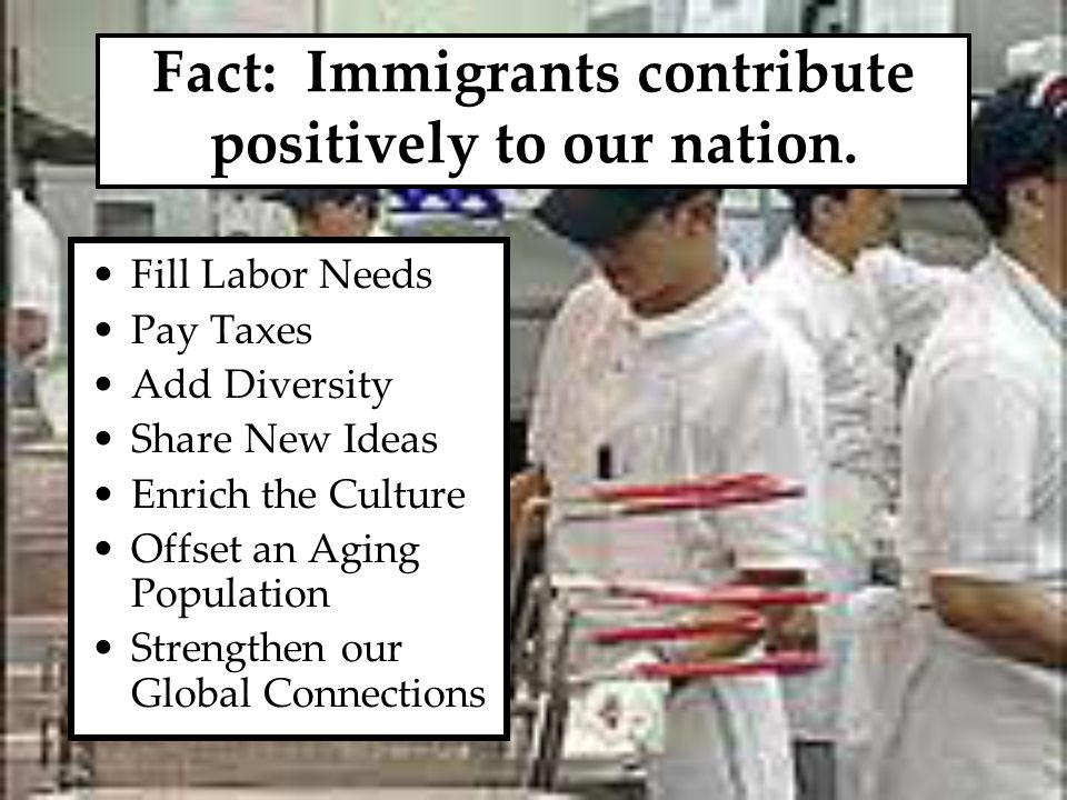 Fact: Immigrants contribute positively to our nation.