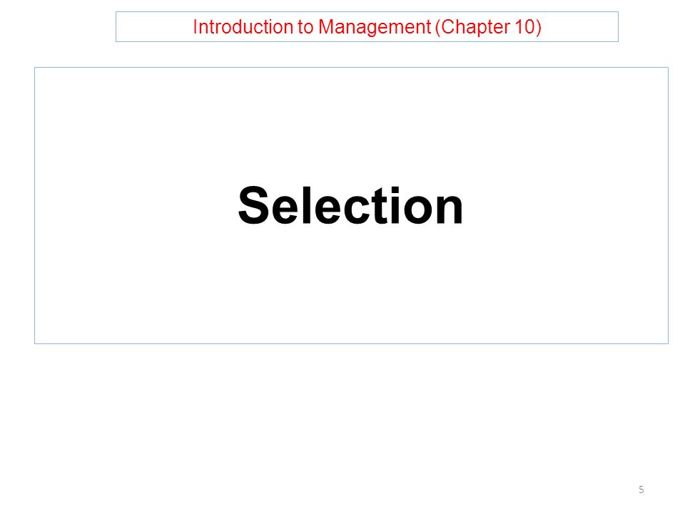 Introduction to Management (Chapter 10) Selection 5