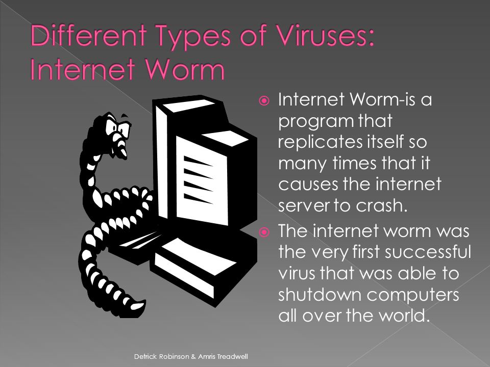  Internet Worm-is a program that replicates itself so many times that it causes the internet server to crash.