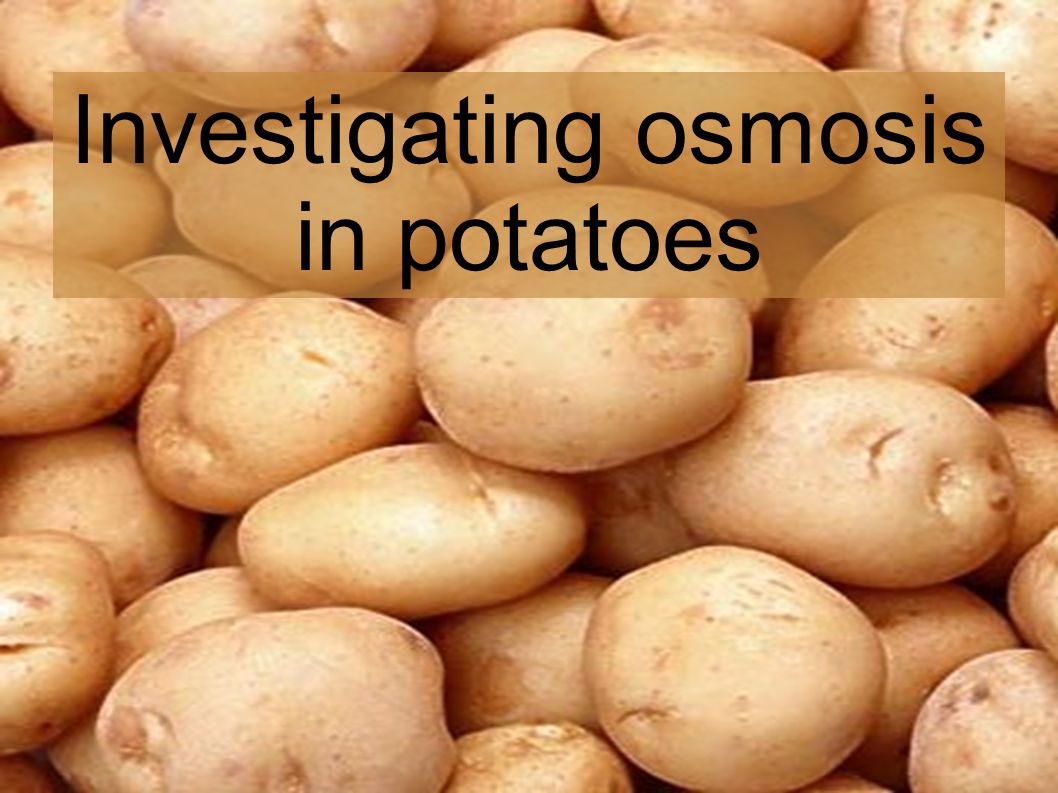 Investigating osmosis in potatoes