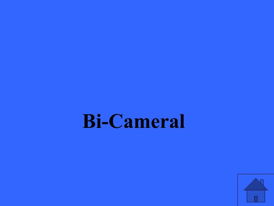 Bi-Cameral