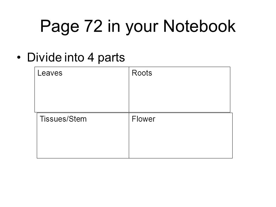 Page 72 in your Notebook Divide into 4 parts LeavesRoots Tissues/StemFlower