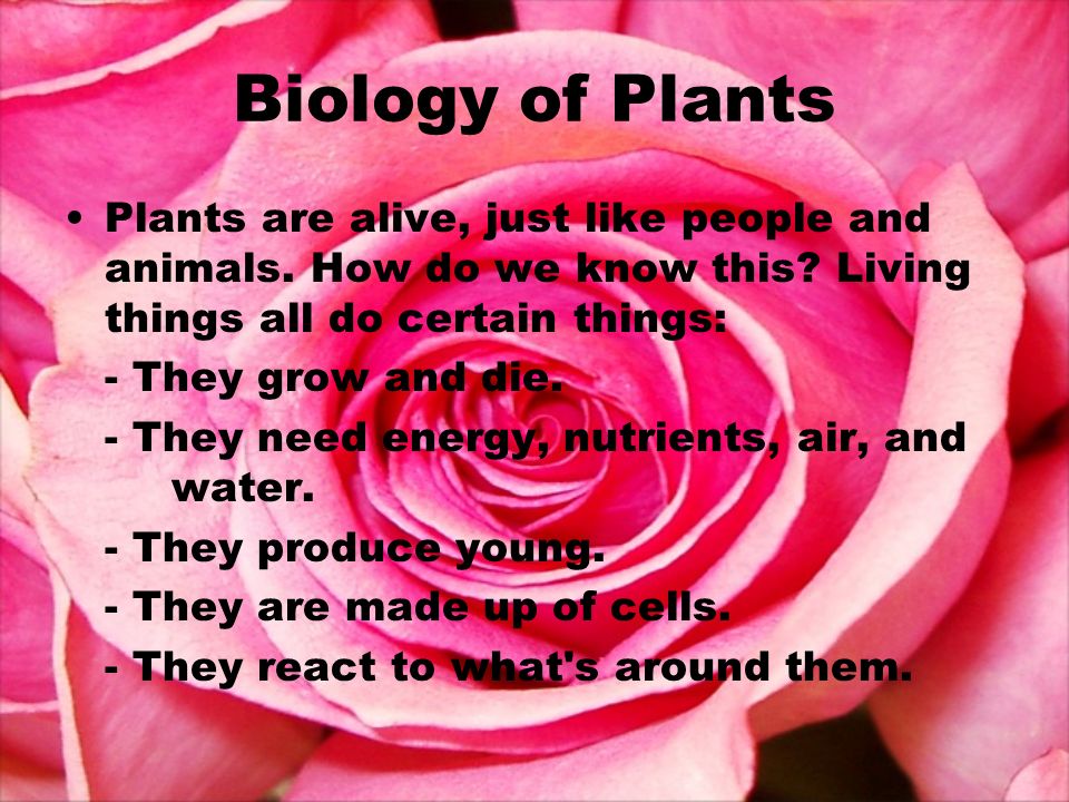 Biology of Plants Plants are alive, just like people and animals.