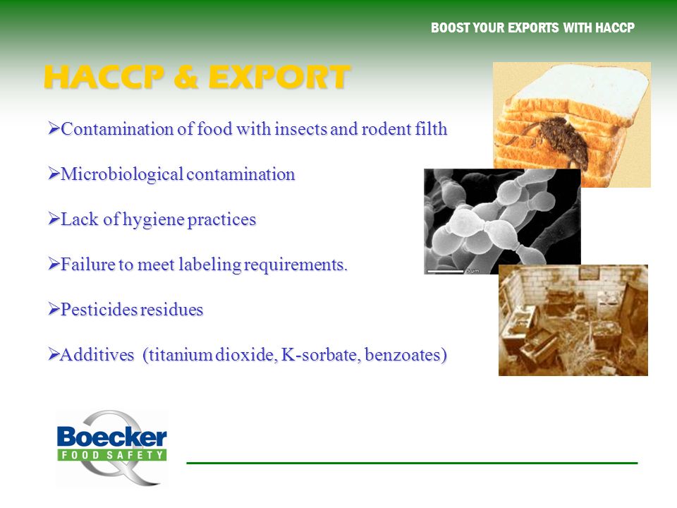 BOOST YOUR EXPORTS WITH HACCP  Contamination of food with insects and rodent filth  Microbiological contamination  Lack of hygiene practices  Failure to meet labeling requirements.