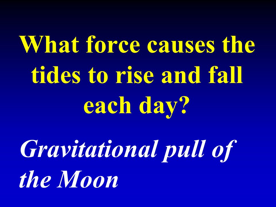 What force causes the tides to rise and fall each day Gravitational pull of the Moon