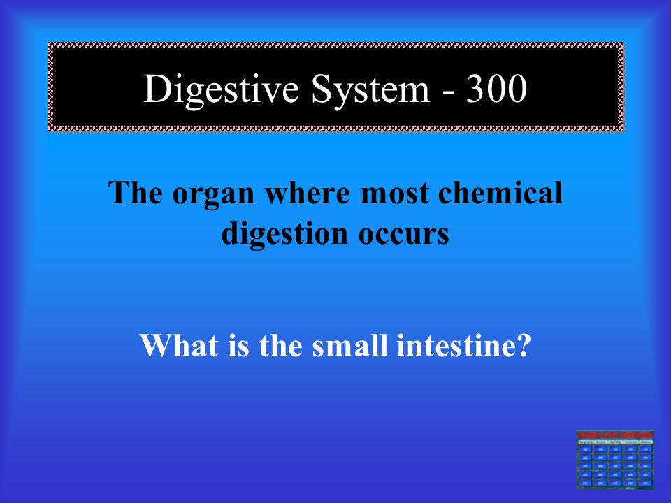 Digestive System A muscular tube that connects the mouth to the stomach.