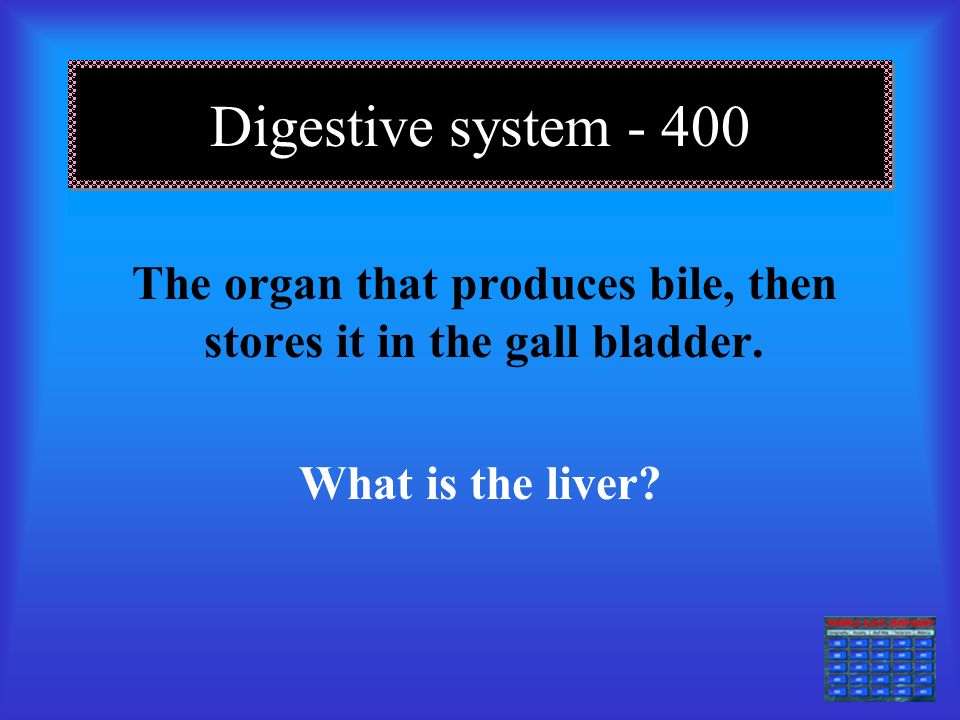 Digestive System The organ where most chemical digestion occurs What is the small intestine