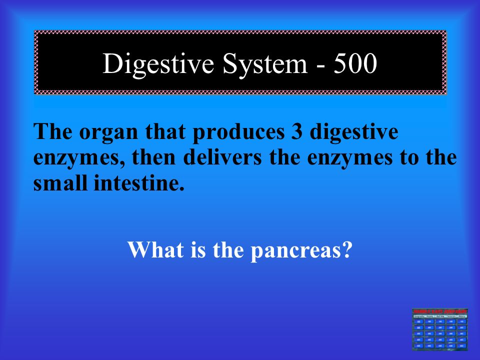 Digestive system The organ that produces bile, then stores it in the gall bladder.