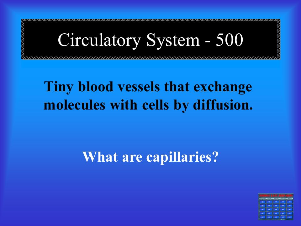 DAILY DOUBLE Circulatory System Circulatory System DAILY DOUBLE Circulatory System Circulatory System Waste product of cells that moves through veins What is carbon dioxide