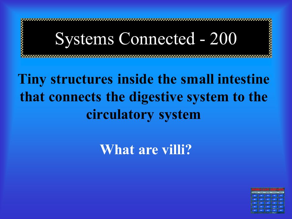 Systems Connected Tiny air sacs where carbon dioxide and oxygen exchange between respiratory and circulatory systems.