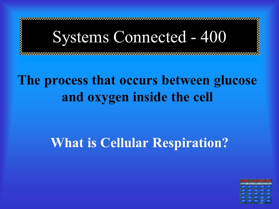 Systems Connected Basic molecule that passes from the villi to the bloodstream What is glucose.