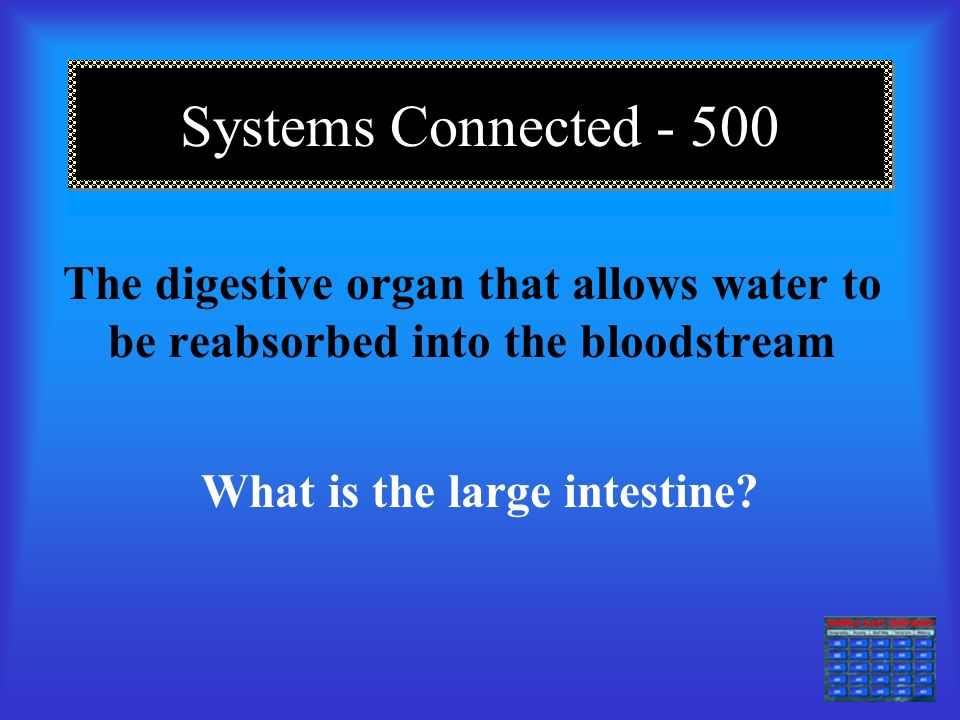 Systems Connected The process that occurs between glucose and oxygen inside the cell What is Cellular Respiration