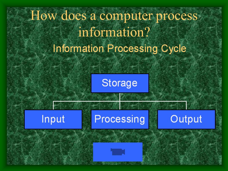 How does a computer process information