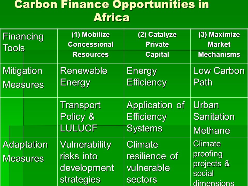 Carbon Finance Opportunities in Africa Financing Tools (1) Mobilize ConcessionalResources (2) Catalyze PrivateCapital (3) Maximize MarketMechanisms MitigationMeasures Renewable Energy Energy Efficiency Low Carbon Path Transport Policy & LULUCF Application of Efficiency Systems Urban Sanitation Methane AdaptationMeasures Vulnerability risks into development strategies Climate resilience of vulnerable sectors Climate proofing projects & social dimensions