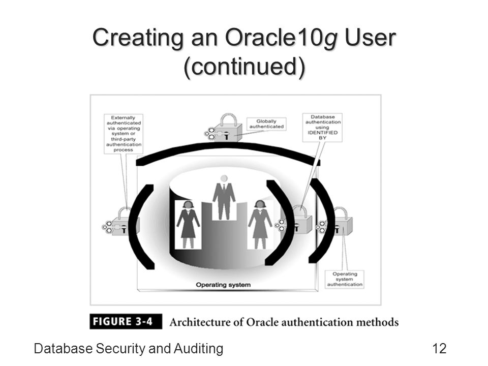 Database Security and Auditing12 Creating an Oracle10g User (continued)