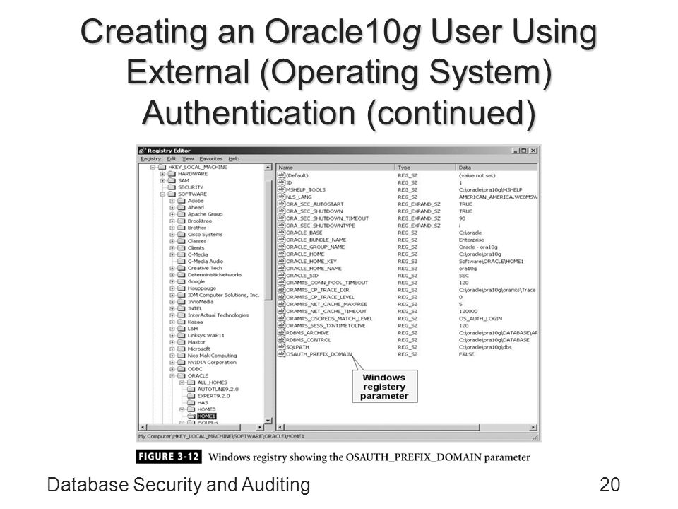 Database Security and Auditing20 Creating an Oracle10g User Using External (Operating System) Authentication (continued)