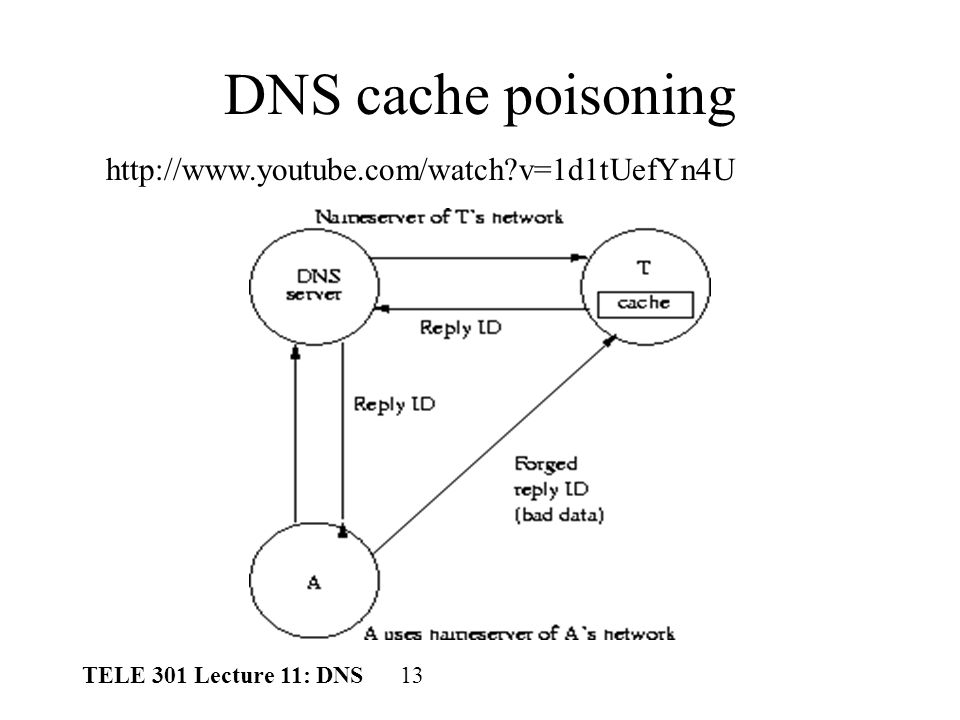 dns cache poisoning