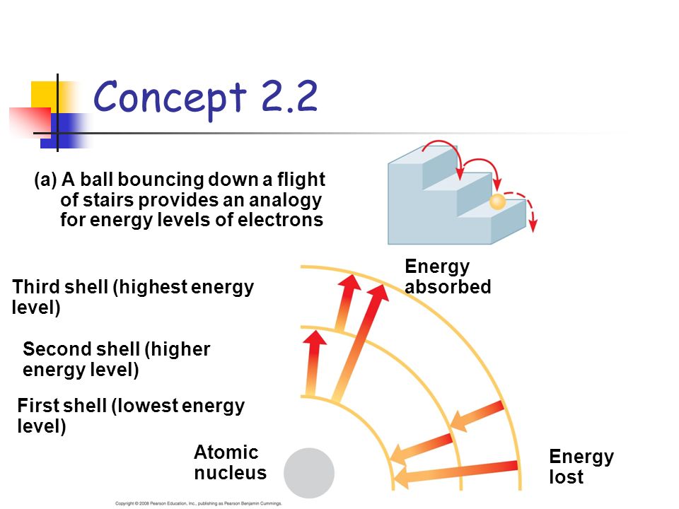 (a) A ball bouncing down a flight of stairs provides an analogy for energy levels of electrons Third shell (highest energy level) Second shell (higher energy level) Energy absorbed First shell (lowest energy level) Atomic nucleus Energy lost Concept 2.2