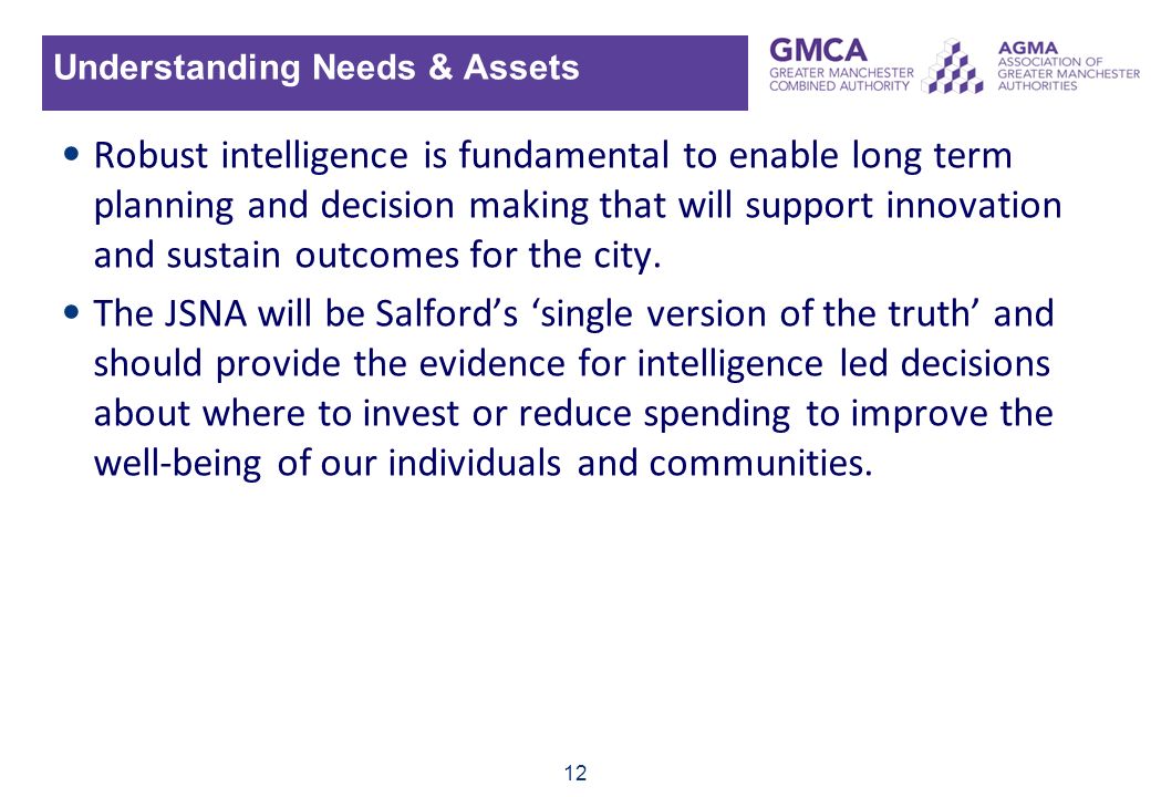 12 Understanding Needs & Assets Robust intelligence is fundamental to enable long term planning and decision making that will support innovation and sustain outcomes for the city.