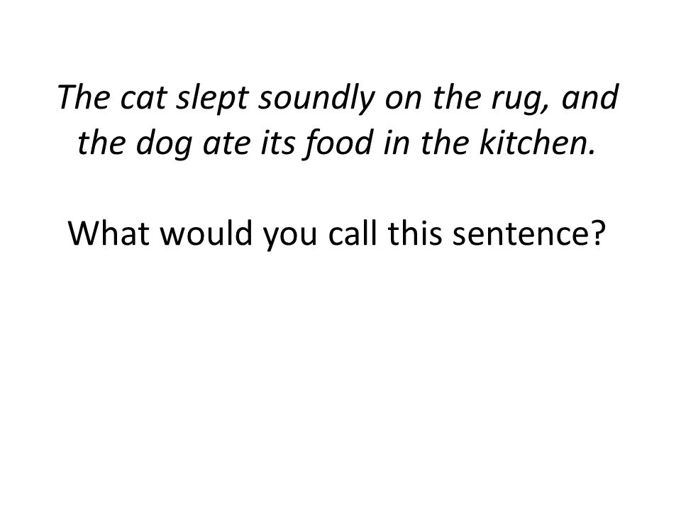The cat slept soundly on the rug, and the dog ate its food in the kitchen.