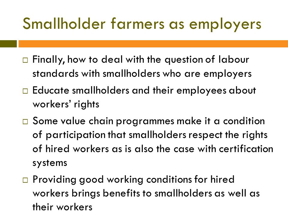 Smallholder farmers as employers  Finally, how to deal with the question of labour standards with smallholders who are employers  Educate smallholders and their employees about workers’ rights  Some value chain programmes make it a condition of participation that smallholders respect the rights of hired workers as is also the case with certification systems  Providing good working conditions for hired workers brings benefits to smallholders as well as their workers
