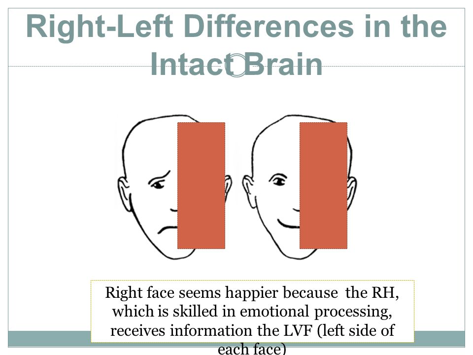 Right-Left Differences in the Intact Brain Right face seems happier because the RH, which is skilled in emotional processing, receives information the LVF (left side of each face)