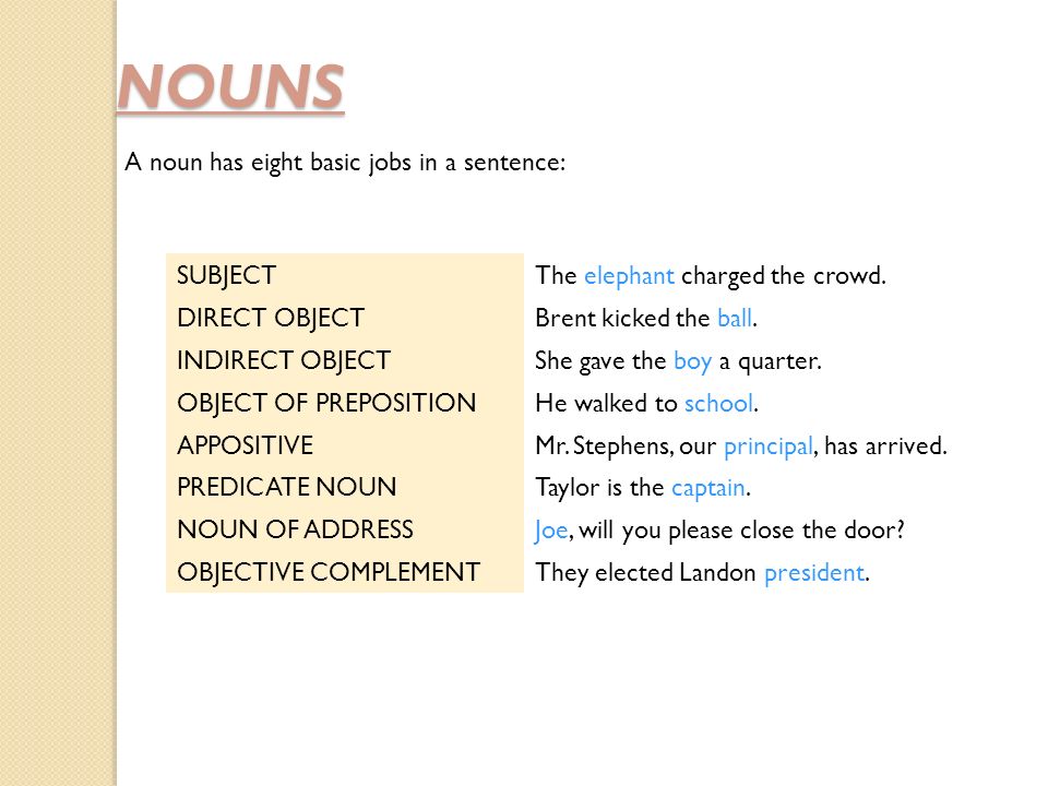 NOUNS A noun has eight basic jobs in a sentence: SUBJECTThe elephant charged the crowd.
