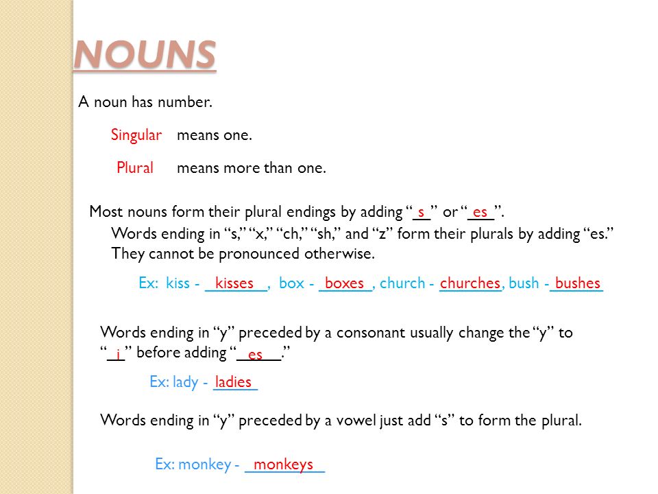 NOUNS A noun has number. Singularmeans one.