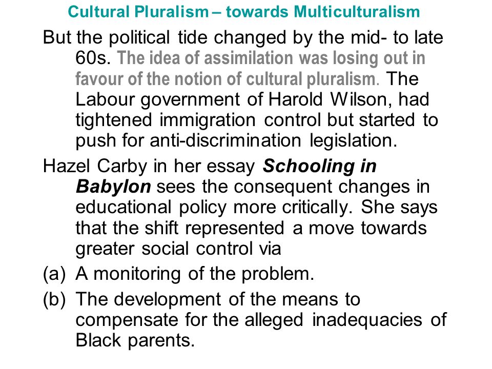 Cultural Assimilation Essay