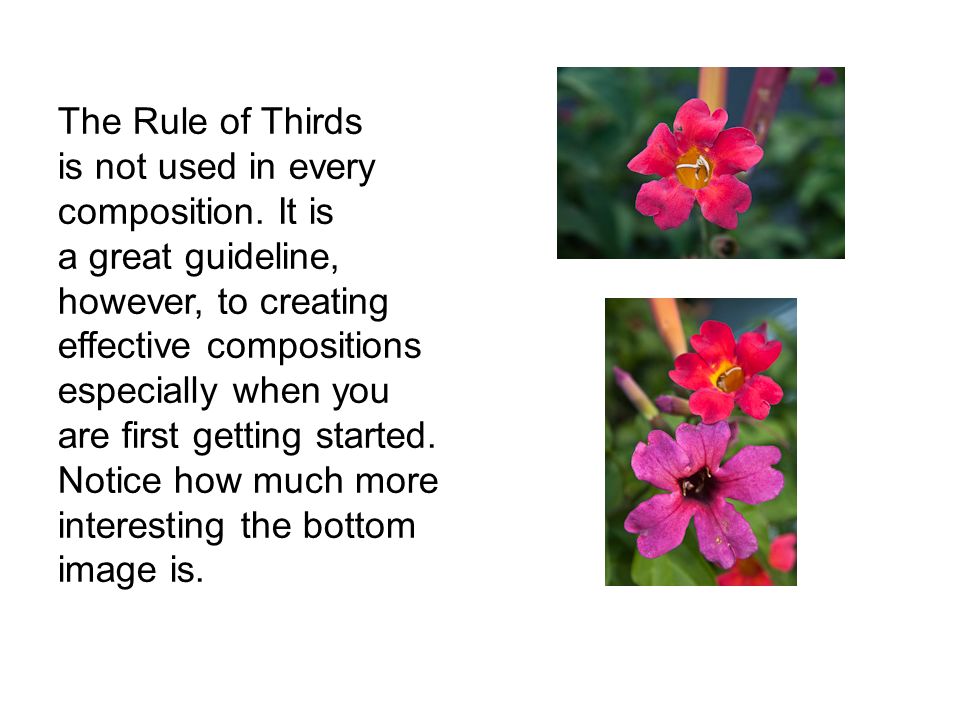 The Rule of Thirds is not used in every composition.