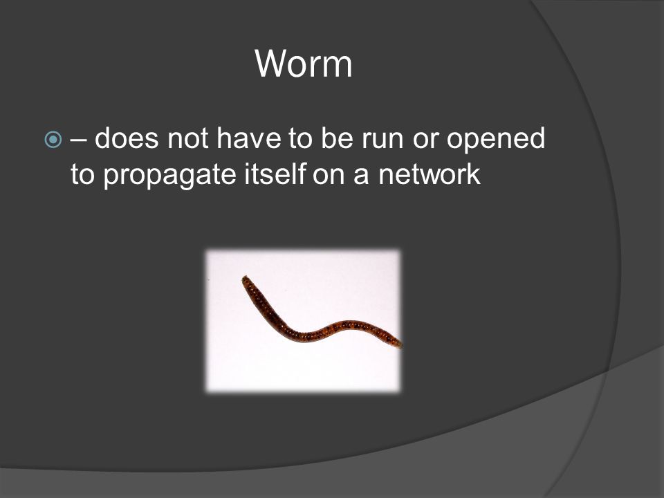 Worm  – does not have to be run or opened to propagate itself on a network